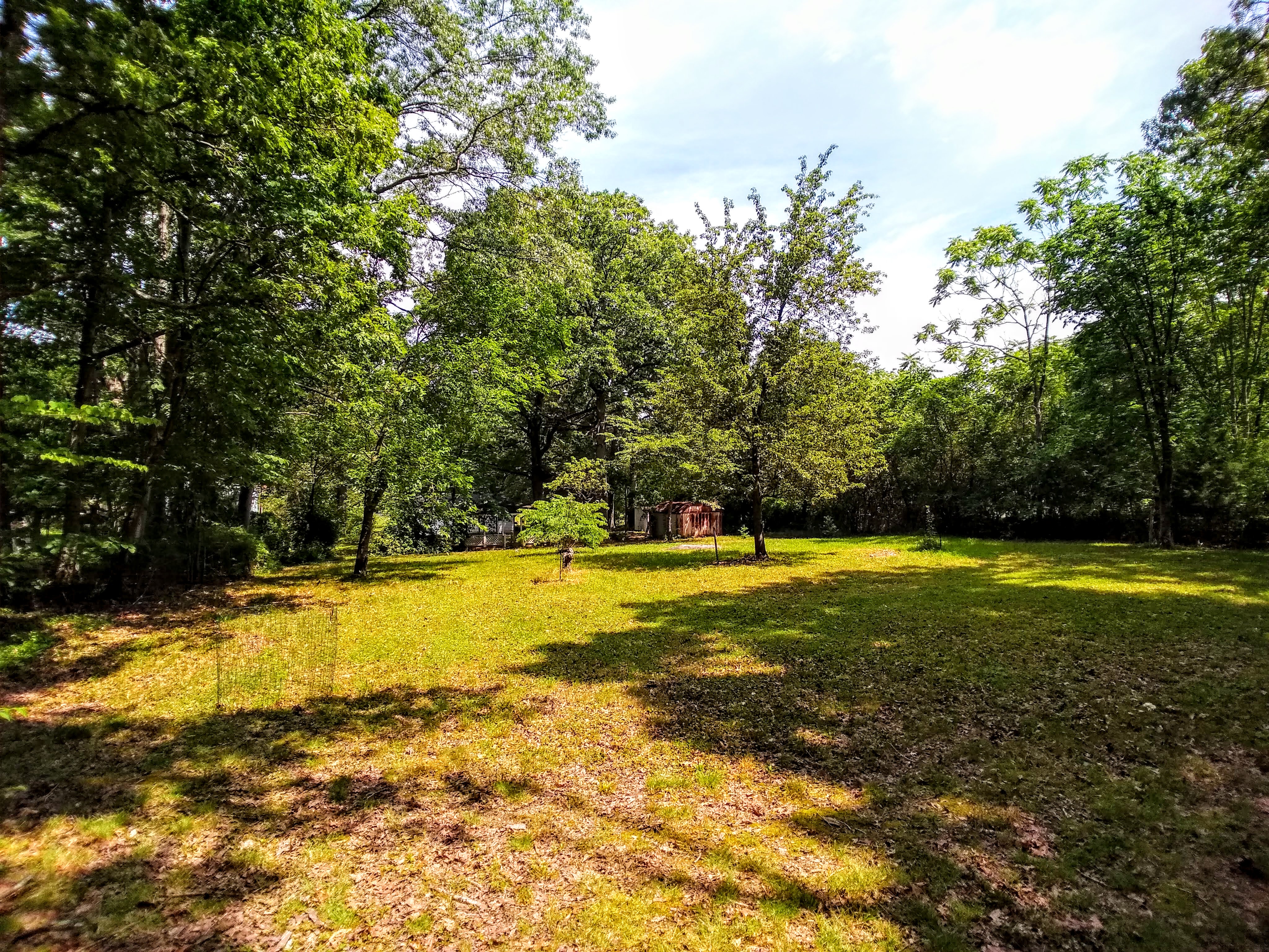 IMG_20200606_113452064